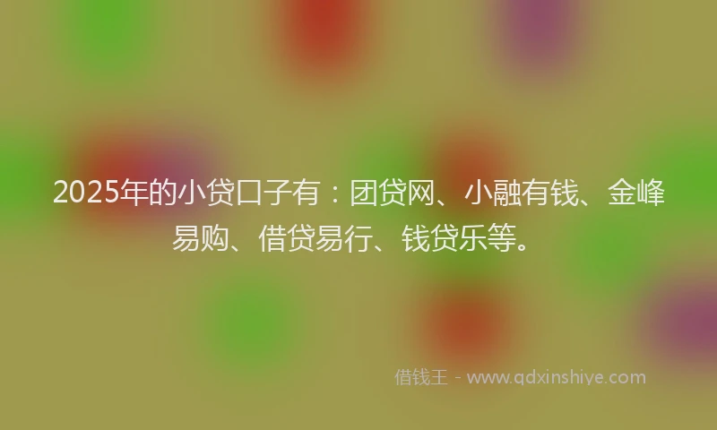 2025年的小贷口子有：团贷网、小融有钱、金峰易购、借贷易行、钱贷乐等。