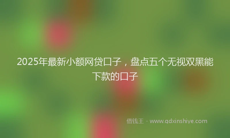 2025年最新小额网贷口子，盘点五个无视双黑能下款的口子