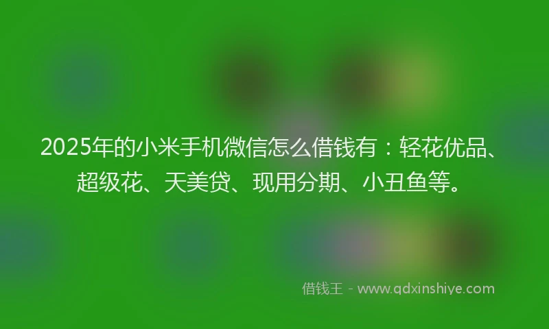 2025年的小米手机微信怎么借钱有：轻花优品、超级花、天美贷、现用分期、小丑鱼等。