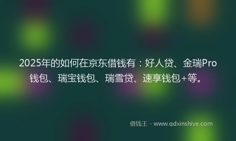 2025年的如何在京东借钱有：好人贷、金瑞Pro钱包、瑞宝钱包、瑞雪贷、速享钱包+等。
