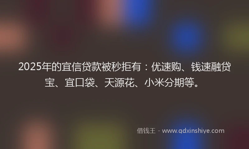 2025年的宜信贷款被秒拒有：优速购、钱速融贷宝、宜口袋、天源花、小米分期等。