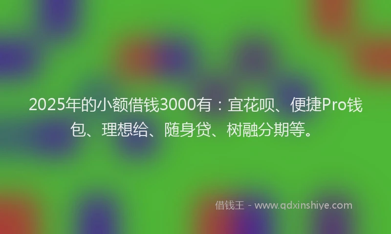 2025年的小额借钱3000有：宜花呗、便捷Pro钱包、理想给、随身贷、树融分期等。
