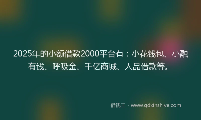 2025年的小额借款2000平台有：小花钱包、小融有钱、呼吸金、千亿商城、人品借款等。