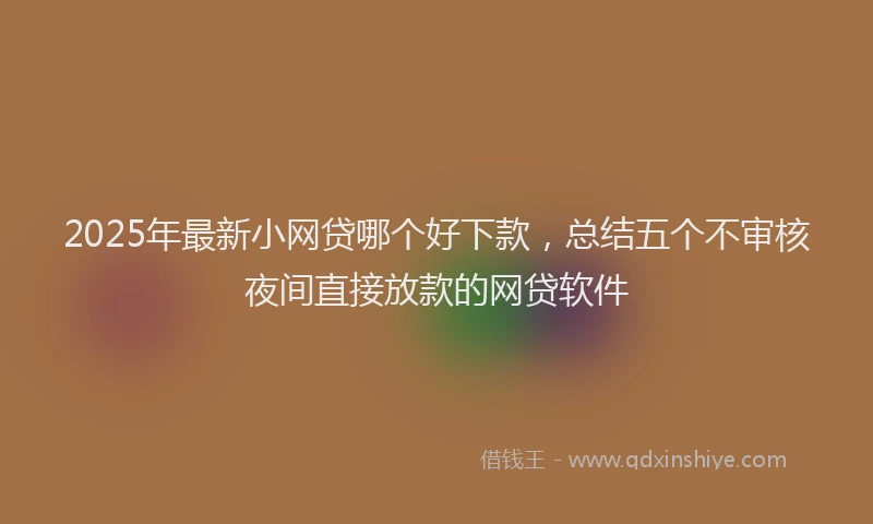 2025年最新小网贷哪个好下款，总结五个不审核夜间直接放款的网贷软件