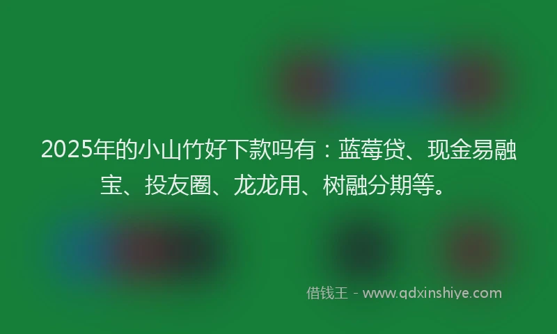 2025年的小山竹好下款吗有：蓝莓贷、现金易融宝、投友圈、龙龙用、树融分期等。
