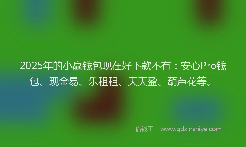 2025年的小赢钱包现在好下款不有：安心Pro钱包、现金易、乐租租、天天盈、葫芦花等。