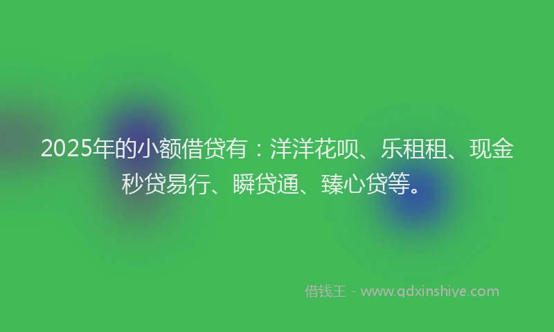 2025年的小额借贷有：洋洋花呗、乐租租、现金秒贷易行、瞬贷通、臻心贷等。