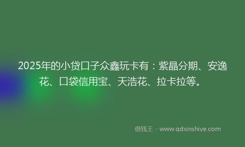 2025年的小贷口子众鑫玩卡有：紫晶分期、安逸花、口袋信用宝、天浩花、拉卡拉等。