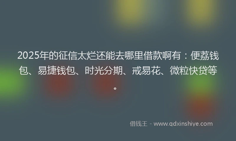 2025年的征信太烂还能去哪里借款啊有：便荔钱包、易捷钱包、时光分期、戒易花、微粒快贷等。