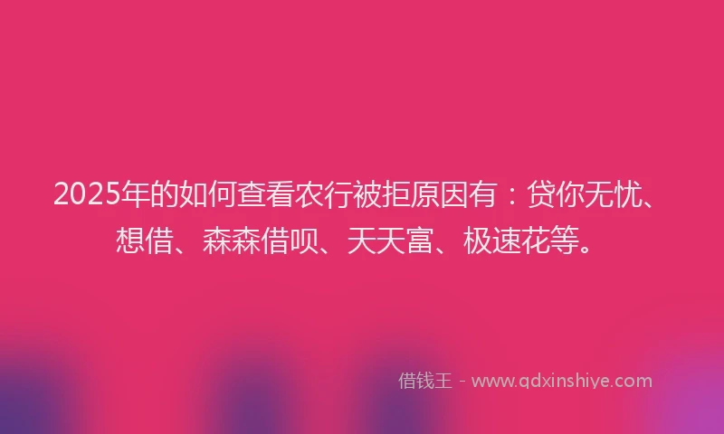 2025年的如何查看农行被拒原因有：贷你无忧、想借、森森借呗、天天富、极速花等。