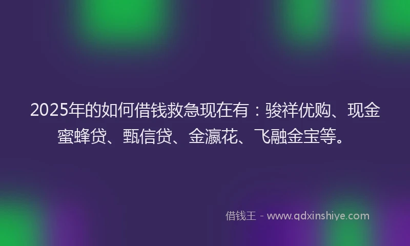 2025年的如何借钱救急现在有：骏祥优购、现金蜜蜂贷、甄信贷、金瀛花、飞融金宝等。