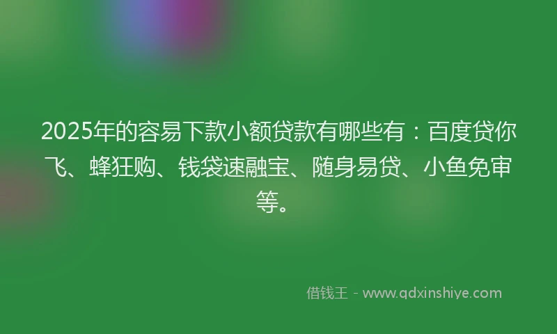 2025年的容易下款小额贷款有哪些有：百度贷你飞、蜂狂购、钱袋速融宝、随身易贷、小鱼免审等。