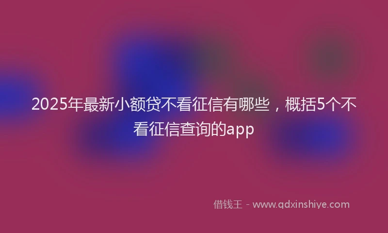 2025年最新小额贷不看征信有哪些，概括5个不看征信查询的app