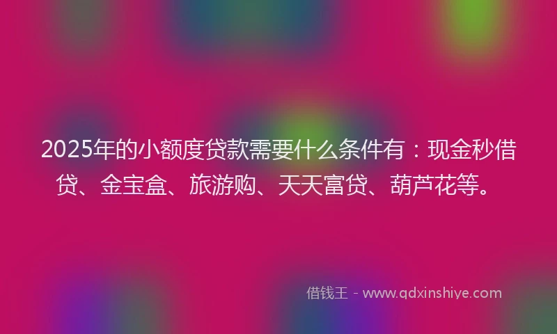 2025年的小额度贷款需要什么条件有：现金秒借贷、金宝盒、旅游购、天天富贷、葫芦花等。