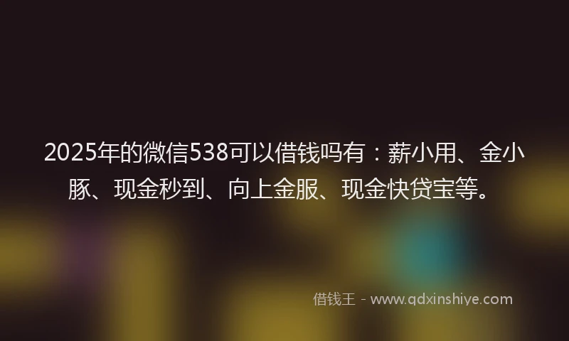 2025年的微信538可以借钱吗有：薪小用、金小豚、现金秒到、向上金服、现金快贷宝等。