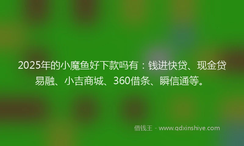 2025年的小魔鱼好下款吗有：钱进快贷、现金贷易融、小吉商城、360借条、瞬信通等。
