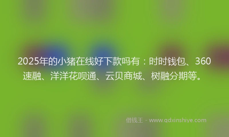 2025年的小猪在线好下款吗有：时时钱包、360速融、洋洋花呗通、云贝商城、树融分期等。