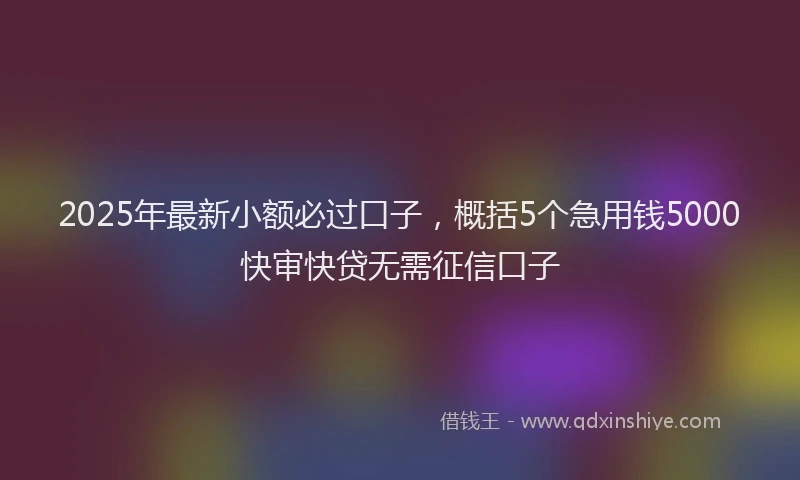 2025年最新小额必过口子，概括5个急用钱5000快审快贷无需征信口子