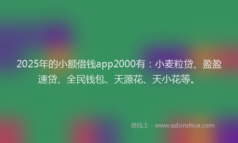 2025年的小额借钱app2000有：小麦粒贷、盈盈速贷、全民钱包、天源花、天小花等。