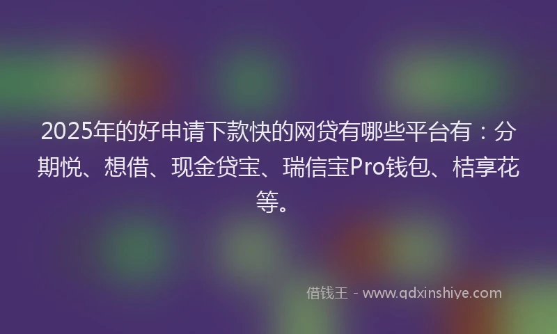 2025年的好申请下款快的网贷有哪些平台有：分期悦、想借、现金贷宝、瑞信宝Pro钱包、桔享花等。