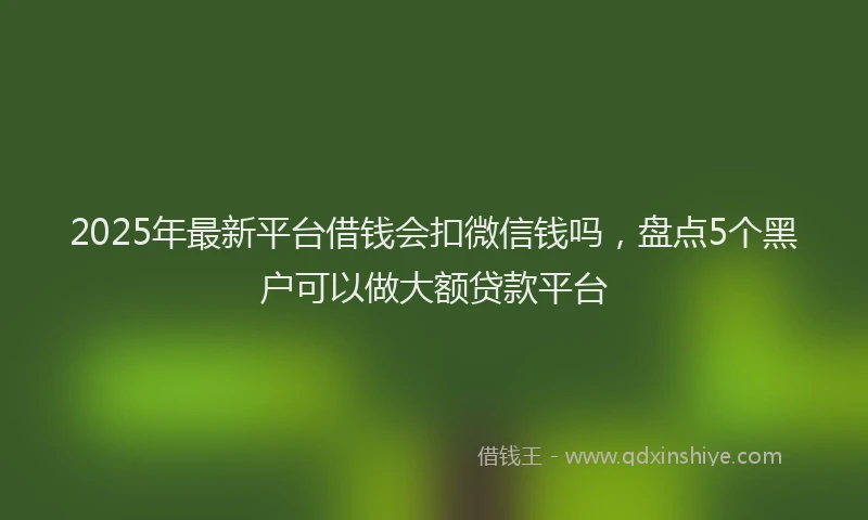 2025年最新平台借钱会扣微信钱吗，盘点5个黑户可以做大额贷款平台