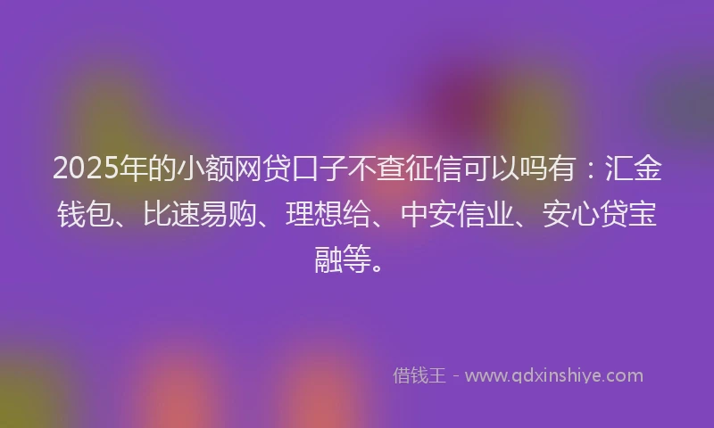 2025年的小额网贷口子不查征信可以吗有：汇金钱包、比速易购、理想给、中安信业、安心贷宝融等。