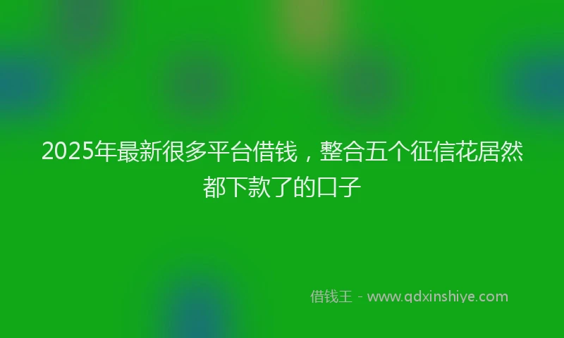2025年最新很多平台借钱，整合五个征信花居然都下款了的口子