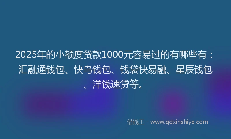 2025年的小额度贷款1000元容易过的有哪些有：汇融通钱包、快鸟钱包、钱袋快易融、星辰钱包、洋钱速贷等。