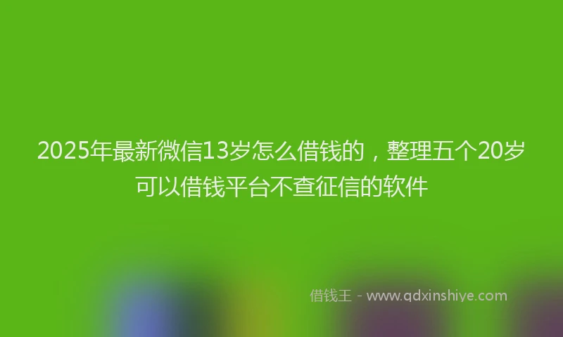 2025年最新微信13岁怎么借钱的，整理五个20岁可以借钱平台不查征信的软件
