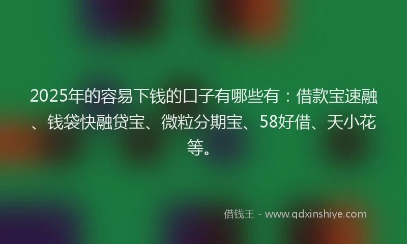 2025年的容易下钱的口子有哪些有：借款宝速融、钱袋快融贷宝、微粒分期宝、58好借、天小花等。
