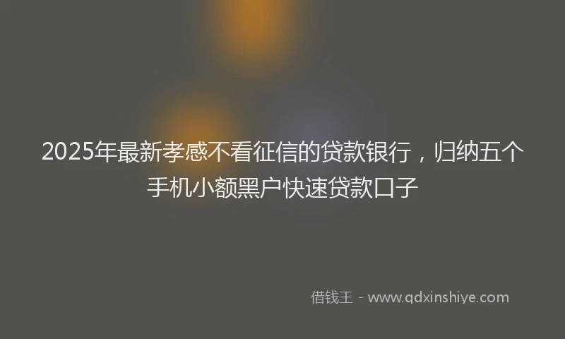 2025年最新孝感不看征信的贷款银行，归纳五个手机小额黑户快速贷款口子