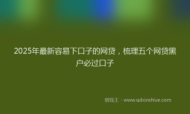 2025年最新容易下口子的网贷，梳理五个网贷黑户必过口子
