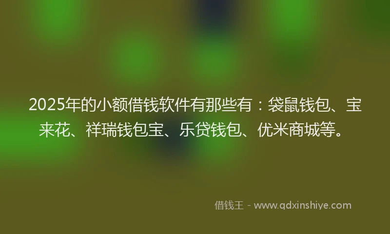 2025年的小额借钱软件有那些有：袋鼠钱包、宝来花、祥瑞钱包宝、乐贷钱包、优米商城等。