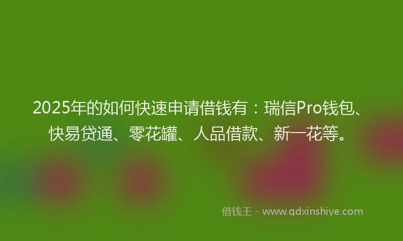 2025年的如何快速申请借钱有：瑞信Pro钱包、快易贷通、零花罐、人品借款、新一花等。
