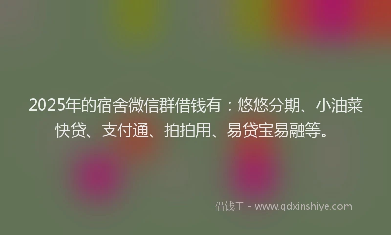 2025年的宿舍微信群借钱有：悠悠分期、小油菜快贷、支付通、拍拍用、易贷宝易融等。
