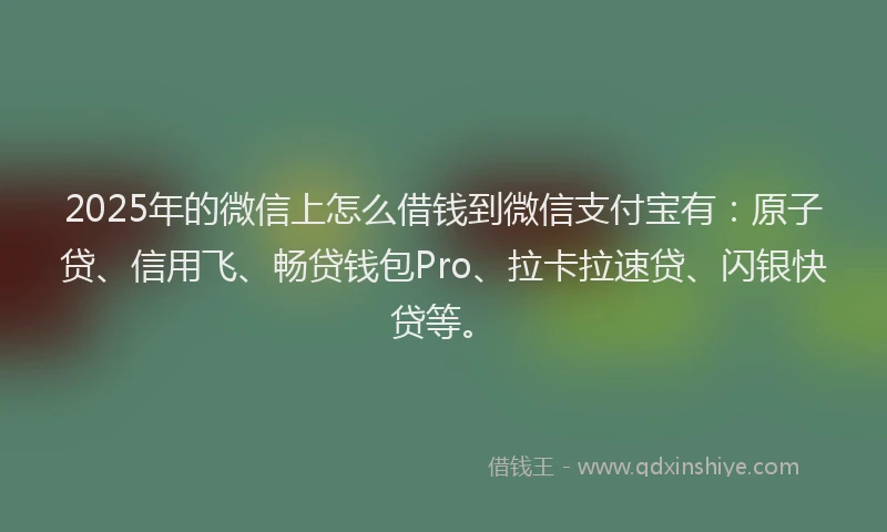 2025年的微信上怎么借钱到微信支付宝有：原子贷、信用飞、畅贷钱包Pro、拉卡拉速贷、闪银快贷等。