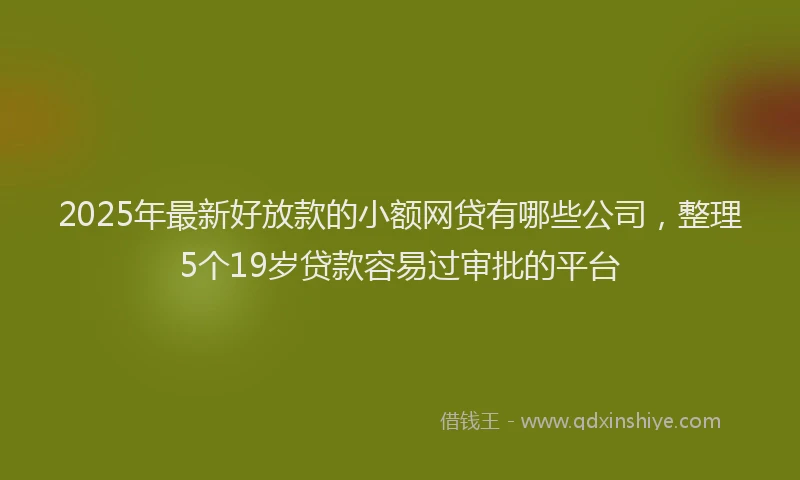 2025年最新好放款的小额网贷有哪些公司，整理5个19岁贷款容易过审批的平台