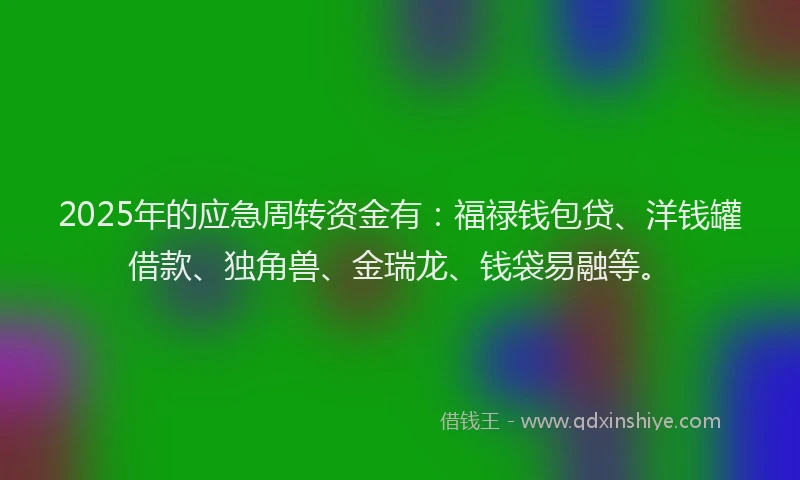 2025年的应急周转资金有：福禄钱包贷、洋钱罐借款、独角兽、金瑞龙、钱袋易融等。