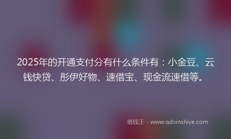 2025年的开通支付分有什么条件有：小金豆、云钱快贷、彤伊好物、速借宝、现金流速借等。