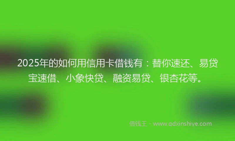 2025年的如何用信用卡借钱有：替你速还、易贷宝速借、小象快贷、融资易贷、银杏花等。