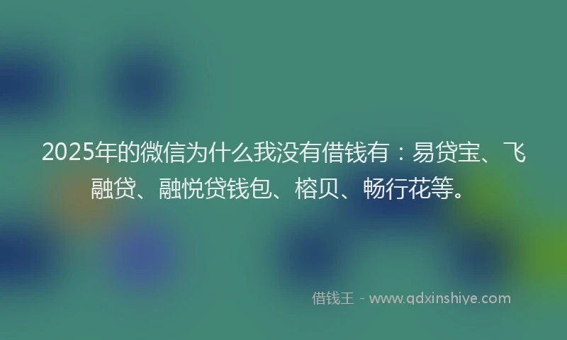 2025年的微信为什么我没有借钱有：易贷宝、飞融贷、融悦贷钱包、榕贝、畅行花等。