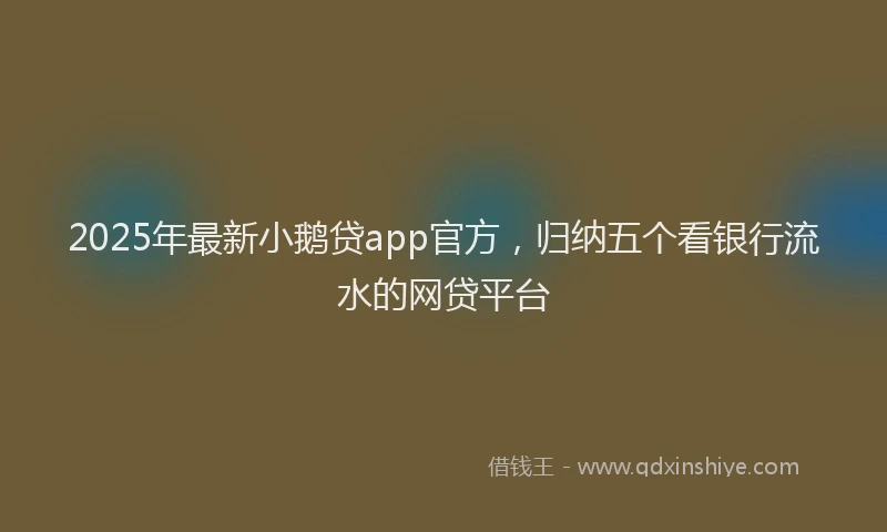 2025年最新小鹅贷app官方，归纳五个看银行流水的网贷平台
