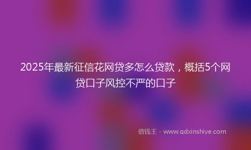 2025年最新征信花网贷多怎么贷款，概括5个网贷口子风控不严的口子