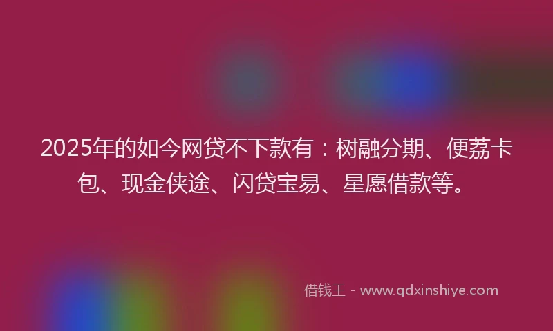 2025年的如今网贷不下款有：树融分期、便荔卡包、现金侠途、闪贷宝易、星愿借款等。