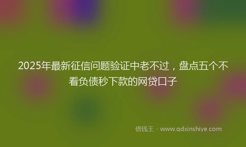 2025年最新征信问题验证中老不过，盘点五个不看负债秒下款的网贷口子