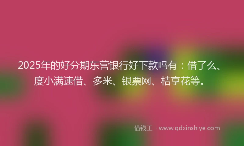 2025年的好分期东营银行好下款吗有：借了么、度小满速借、多米、银票网、桔享花等。