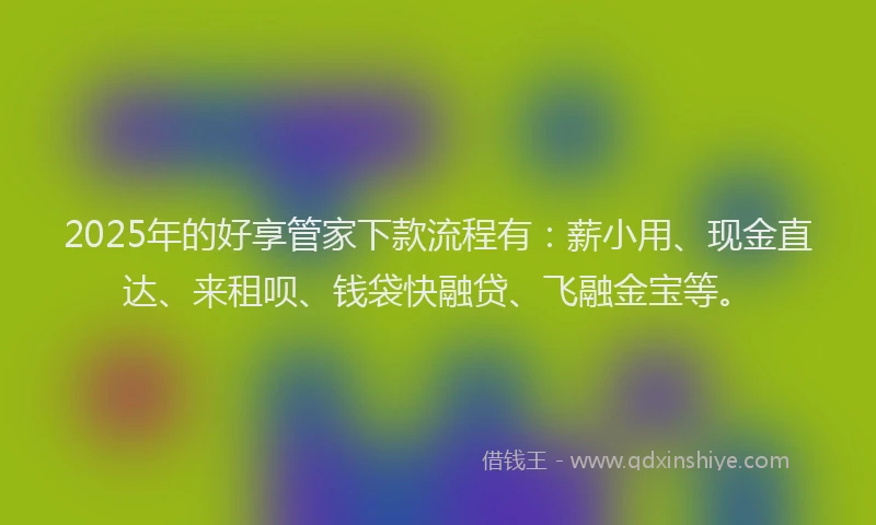 2025年的好享管家下款流程有：薪小用、现金直达、来租呗、钱袋快融贷、飞融金宝等。