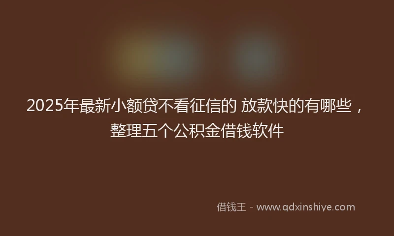 2025年最新小额贷不看征信的 放款快的有哪些，整理五个公积金借钱软件