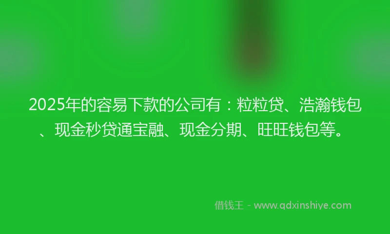 2025年的容易下款的公司有：粒粒贷、浩瀚钱包、现金秒贷通宝融、现金分期、旺旺钱包等。