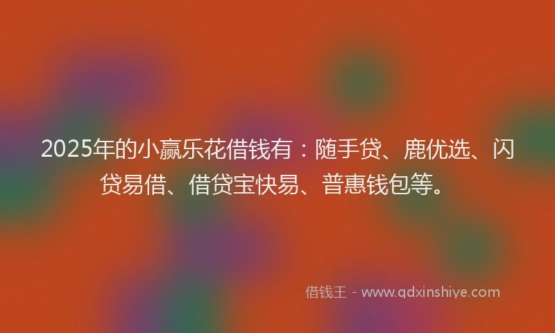 2025年的小赢乐花借钱有：随手贷、鹿优选、闪贷易借、借贷宝快易、普惠钱包等。